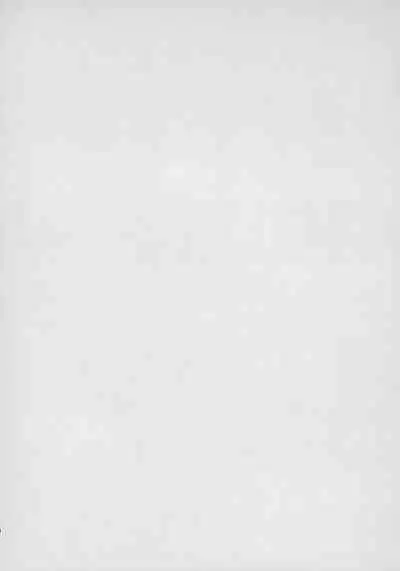 Omae nashi jya dame mitai