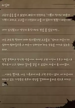 Sage Lavinia's Last Note ~ In the ruin of orc fort ~