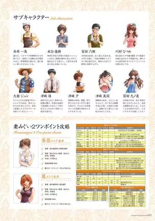 Alice soft "Tsuma wife series" Art Works