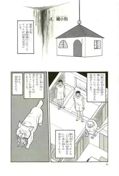 Gekiga Yapoo Koufuku