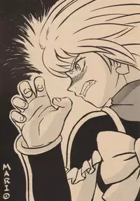 (C66) [Shoryutei (Shoryutei Enraku)] Kuro to Shiro | BLACK AND WHITE (Futari wa Precure)