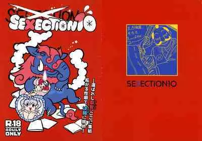 SEXECTION10