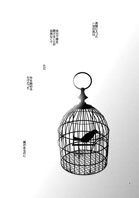 [OCELOT phalaenopsis