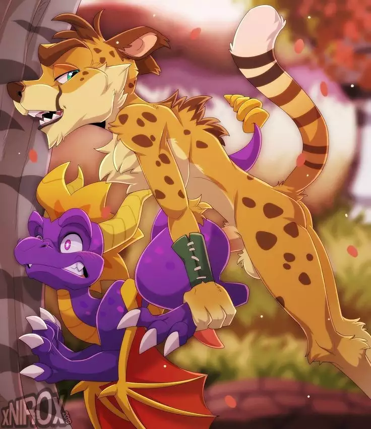 february reward pack