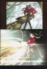 [Type-Moon] Fate/complete material I - Art material.