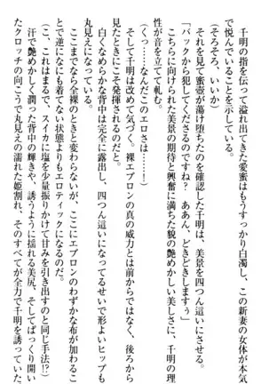 年上メイドの新婚日記