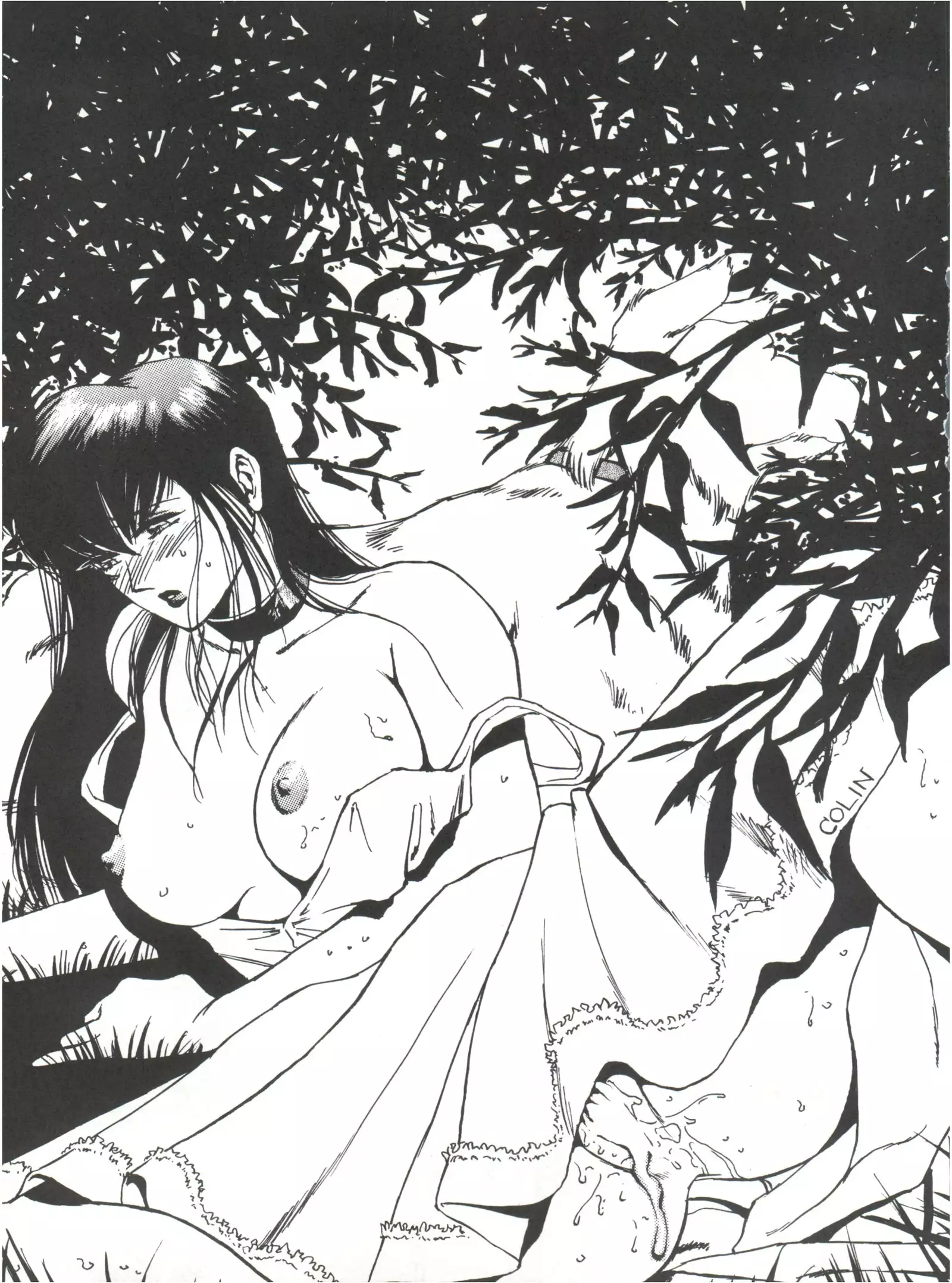 Colins Illustrated Collection