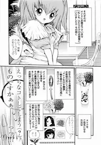 [Mita Ryuusuke] Rose Rosse