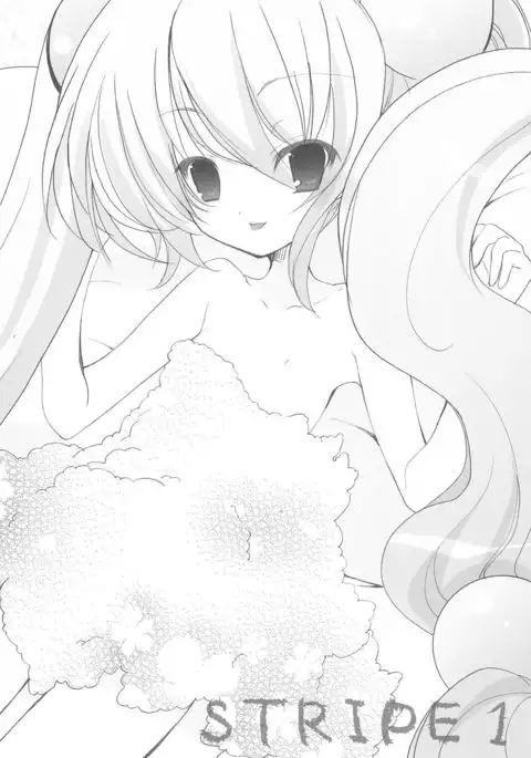 stripe1