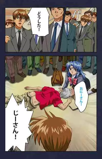 Chikan Densha kanzenhan