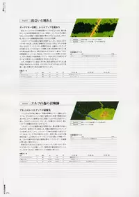 [Various] Moldavite Visual Fanbook