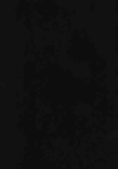 Christmas no Yoru ni