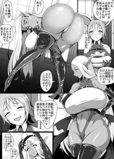 Inmon Akuochi no Hime Kishidan