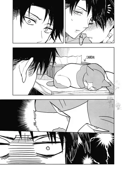 (C85) [Tokinokouji (Omatsu)] Hachiware to Levi-san [Yoru] | The Black and White Cat and Levi-san [Night] (Shingeki no Kyojin) [English] [Key and Cravat]