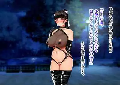 Yagai Roshutsu Haisetsu