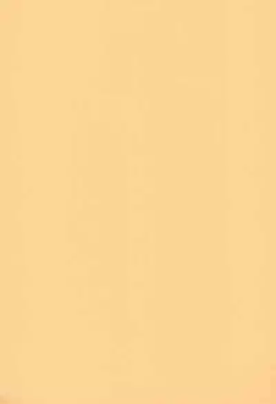 (SC11) [CHEROKEE (Maeda)] cherokee works for 20th century