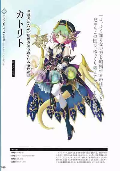 Amayui Labyrinth Meister Perfect Guidebook