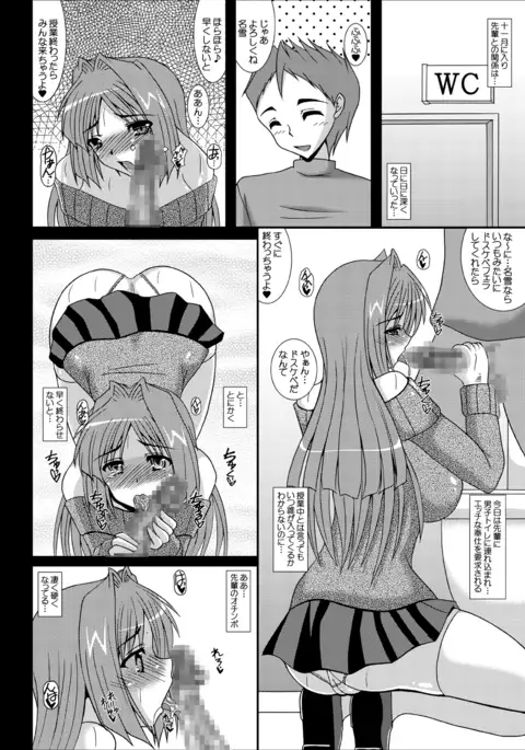 Aikagi - Ubawareta Osananajimi 3