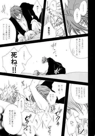 AISIRO Soushuuhen II