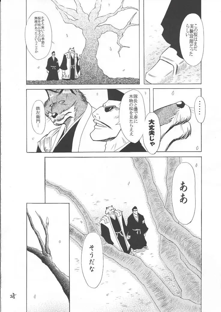 Karei Naru Iba Nauer