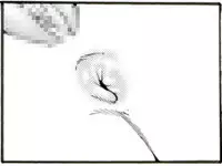 [Kame no Onaka] CORRUPT&ROTTEN Cutey Liddy no Funiku no Andouille "Sono San"