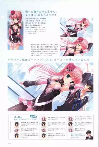 Hatsuyuki Sakura Visual Fanbook