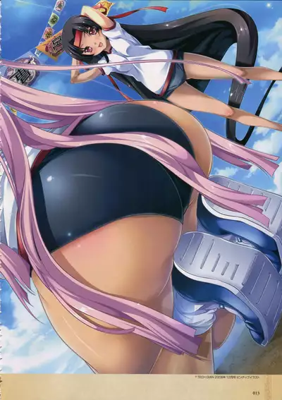 Shin Koihime Musou -Otome Ryouran Sangokushi Engi- Perfect Visual Book