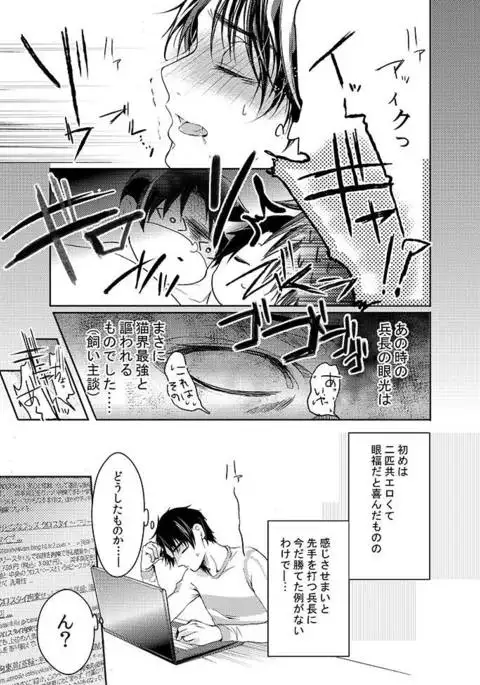 Futago neko hiroimashita