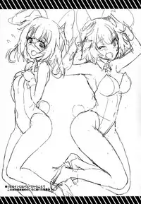 (C84) [Fukahire (Same)] IS ICHIKA LOVE SISTERS!! (Infinite Stratos)