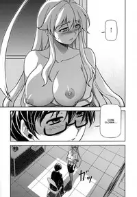 (C77) [CDPA (Various)] CROSS MAKE 2009 (Freezing, Onihime VS) [English] [Brolen]