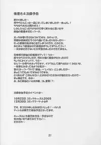 [Schwester (Shirau Inazaki)] Rollin 20 (Touhou Project)