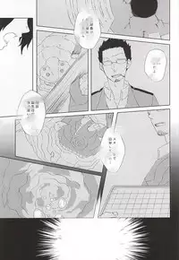 (BORDERLINE4) [ido (Midou)] birth (World Trigger)