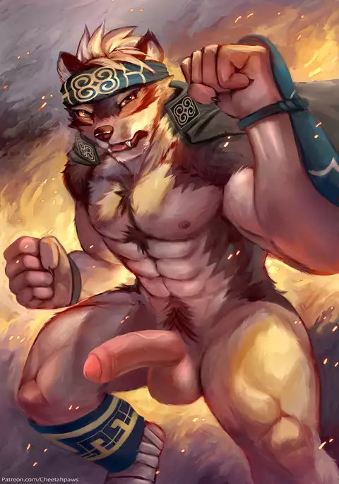 February 2017 Package Reward