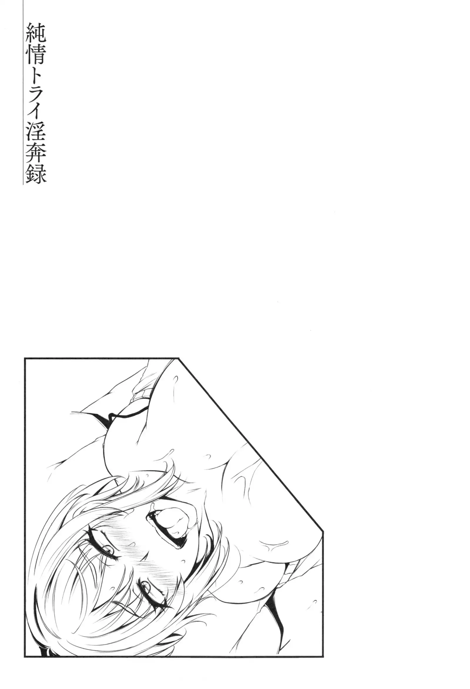 Junjou Try Honpouroku