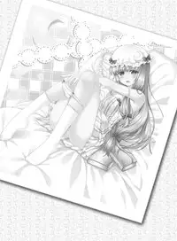 [Ran-ya (Aranmaru)] SECRET EXPERIMENT (Touhou Project) [Digital]