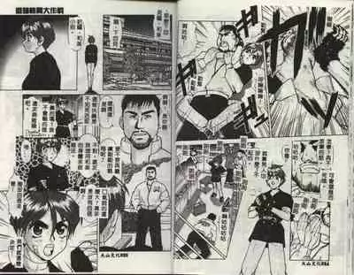 Operation Daisakusen