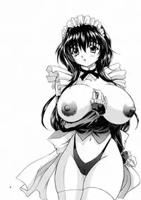 (C60) [Narimasuya (Akiba Wataru)] DOLLS DIARY 4