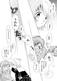 [Nagareboshi Hikaru] Tokubetsu na Hi