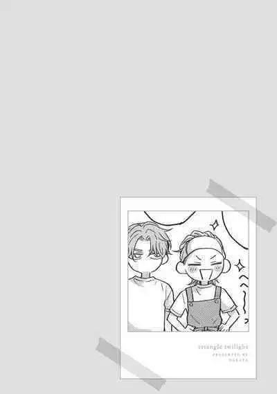 Sankaku Twilight - triangle twilight | 暮光三角
