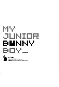 My Junior Bunny Boy