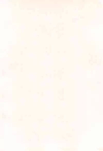 Chicchakute Ecchi Hon 5