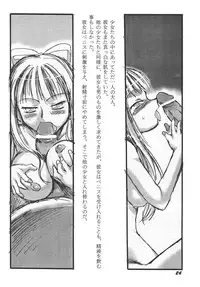 [P.A. Project (Teruki Kuma)] Youshoku San [Digital]