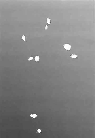 sakuranoshitanihatehanai jo