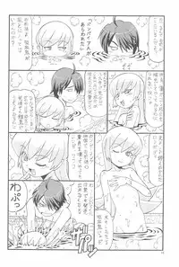 (C77) [Toraya (ITOYOKO)] Chotto H na Toremonogatari (Bakemonogatari)