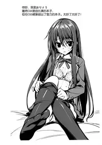 (C85) [P:P (Oryou)] Yukinon Gentei (Yahari Ore no Seishun Love Come wa Machigatteiru.) [Chinese] [无毒汉化组]