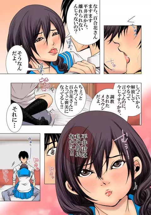 Sukina ko, Rape, Fukushuu, Netori