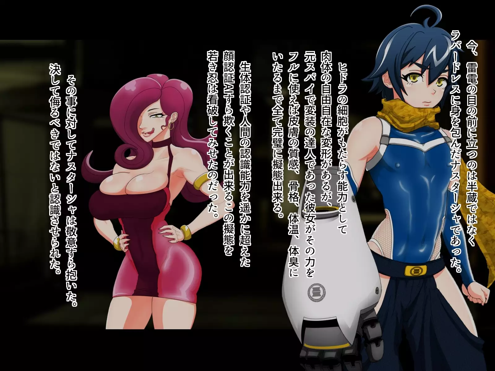 Tokumei Ninja Raiden