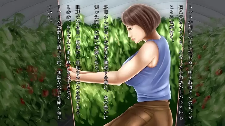 Akiko, Tomato Farmer