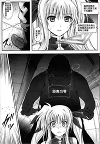 (C86) [Cyclone (Izumi, Reizei)] T-20 Fei Tas (Mahou Shoujo Lyrical Nanoha) [Chinese] [无毒汉化组X某匿名个汉]