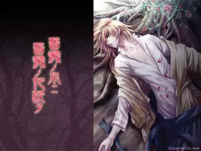 Cool-B Vol.35 2011-01